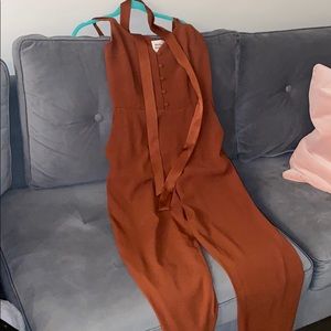 Fall Little Moon/Aritzia Jumpsuit (Size 6)